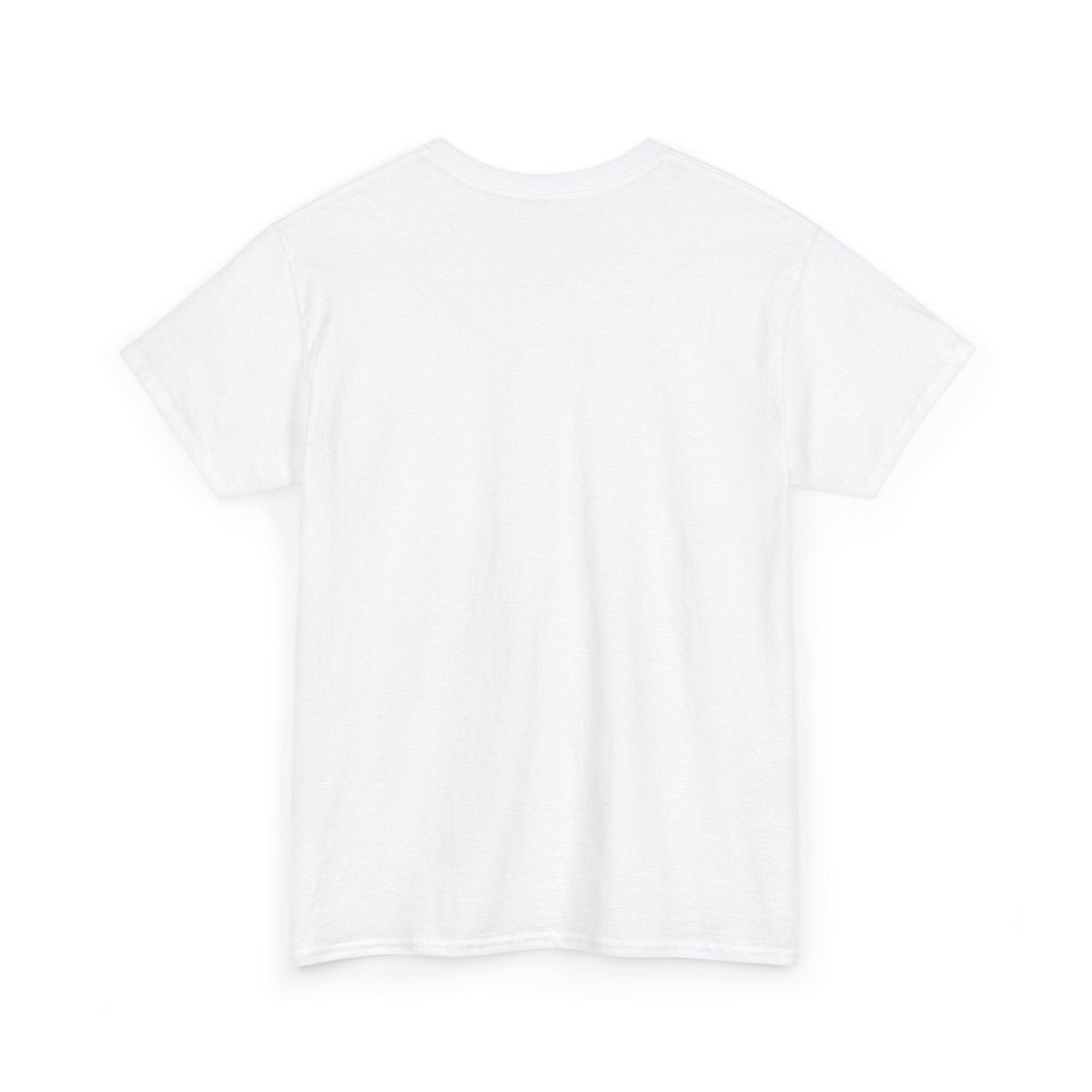 Patriotic Catfish T‑Shirt — "Land of the Free, Home of the Catfish" Fishing Tee